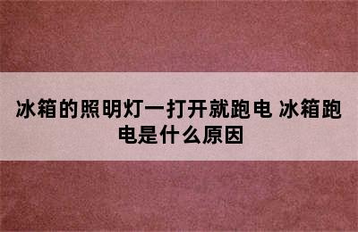 冰箱的照明灯一打开就跑电 冰箱跑电是什么原因